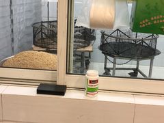 -赵记粽子(司前街店)