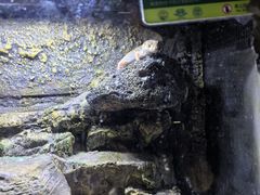 -海南热带野生动植物园
