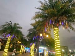 -三亚海昌梦幻海洋不夜城