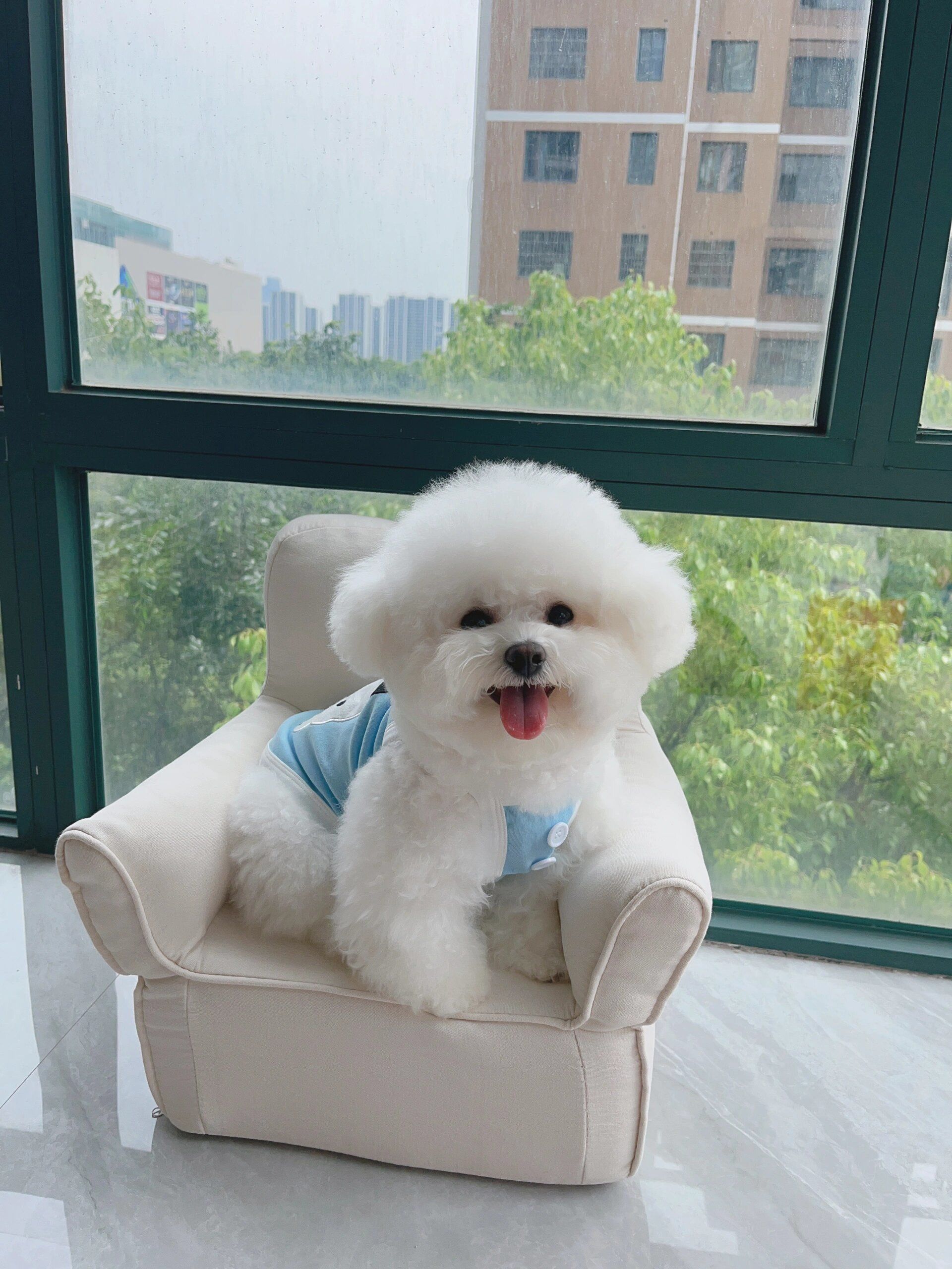 的宠物医院   #宠物医院   #去宠物店吸萌宠   #我家宠物的最萌瞬间