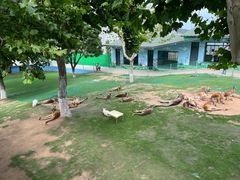 -西霞口神雕山野生动物世界