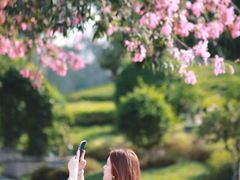 -东莞植物园