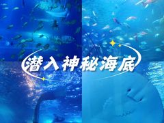 -太平洋海底世界