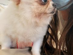 -怪兽屋·羊驼·猫咖·狗咖(俊华广场店)