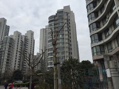 -新湖明珠城