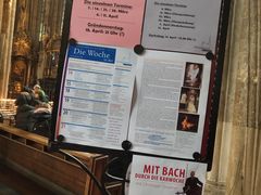 -斯蒂芬主教座堂(Stephansdom)