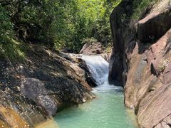 -广州白江湖森林公园