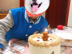 -CarolCake卡萝家(锦华万达店)
