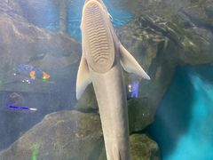 -福州罗源湾海洋世界旅游区