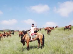 iphone_upload_pic-塞罕坝国家级自然保护区