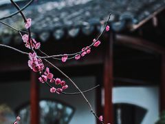 -郭庄景区