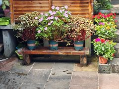 -龙姐私房菜(和顺古镇店)