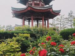 -大慈恩寺(大雁塔)