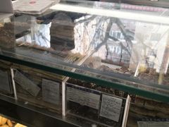 -上海哈尔滨食品厂(汇联商厦店)