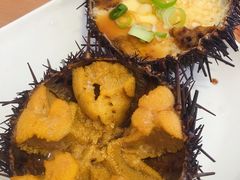 -海胆小馆(东北水饺·春柳店)