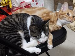 -陆记牛庄·碳锅龙虾烧烤(爱上花园店)