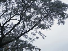 -锦溪古镇