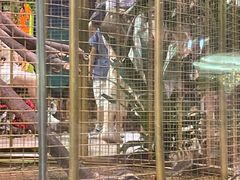 -正佳雨林生态植物园