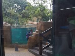 -广州海洋馆