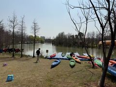 -上海长兴岛郊野公园