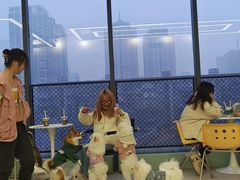 -怪兽屋·羊驼·猫咖·狗咖(俊华广场店)