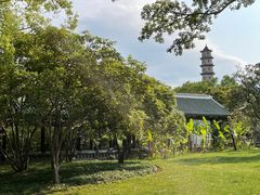-江心屿景区