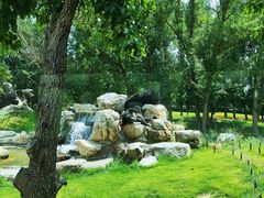 -北京野生动物园