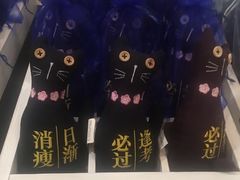 -猫咪博物馆(顶澳仔猫街店)