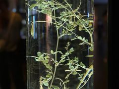 -广东中医药博物馆