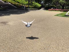-天王寺公园