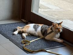 -Again Coffee Roaster(香蜜湖店)