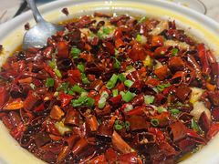 -唐猫庭院·千年陕菜(大唐不夜城店)