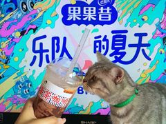 -喜茶(佛山顺德大良东乐路店)