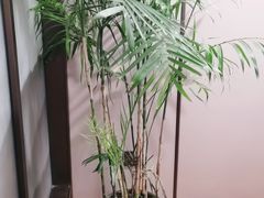 -宴昆山·私房菜(春晖店)