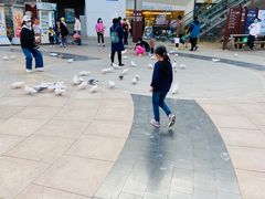 -中粮·祥云小镇