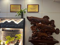 -瑞琳阿尔泰冷水鱼(康源财富中心店)