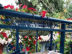 -Sirena海妖日咖夜酒