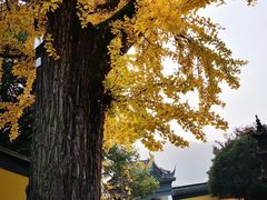 -龙寺生态园