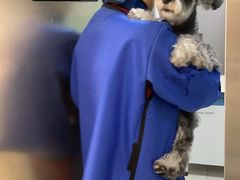 -美联众合动物医院·24h京西诊疗中心