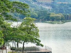 -顺峰山公园