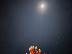 -卡万金特色藏餐