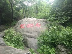 -王顺山国家森林公园