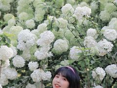 -铁山坪森林公园