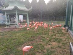 -秦皇岛野生动物园