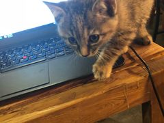 -时光转角咖啡馆(西康路店)