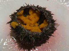 新鲜海胆-割烹旭日本料理(龙湖狮山天街店)