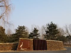 -东郊湿地公园