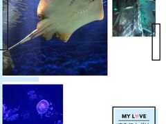 -福州罗源湾海洋世界旅游区