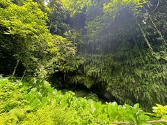 -海口火山口国家地质公园