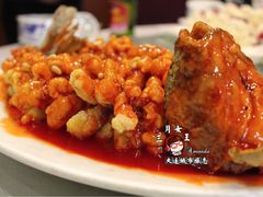 松鼠鲤鱼-添福来墨鱼饺子 · 海鲜东北菜(泡崖店)